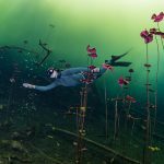 Cenote Carwash Freediving