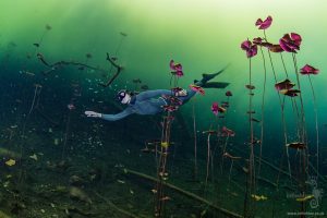 Cenote Carwash Freediving