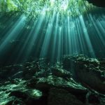 Cenote Freediving