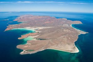 Isla Espiritu Santo: Tours La Paz