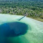 Freediving Courses in Cenotes by Freefall Academy. Valentina Kochian and Tyler Van Roden in Mexico (Sea of Cortes, Baja California Sur and Caribbean Sea, Tulum, Playa del Carmen and Cancun)