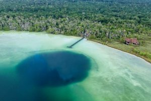 Freediving Courses in Cenotes by Freefall Academy. Valentina Kochian and Tyler Van Roden in Mexico (Sea of Cortes, Baja California Sur and Caribbean Sea, Tulum, Playa del Carmen and Cancun)