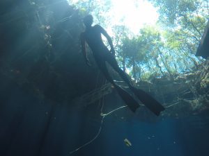 Freediving cenotes