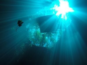 Cursos de Apnea Mexico