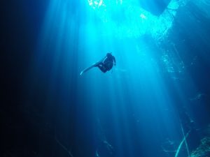 Freediving courses La Paz