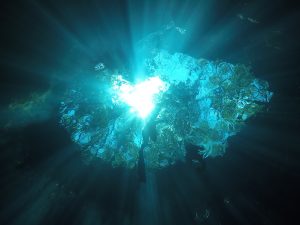 Freediving courses - freefall academy