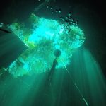 Freediving courses in Tulum cenotes