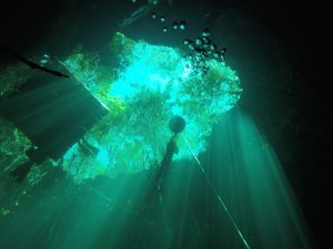 Freediving courses in Tulum cenotes