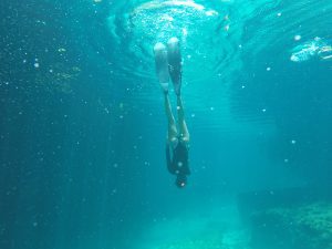 Freediving courses casa cenote