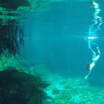 Freediving courses in Playa del Carmen cenotes