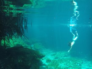 Freediving courses in Playa del Carmen cenotes