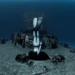 Freediver Shipwreck Cozumel Mexico
