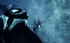 Cerralvo Island MANTAS