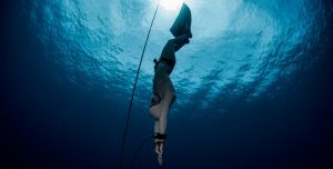 Freefalling Freediving