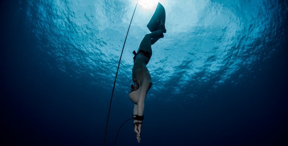 Freefalling Freediving