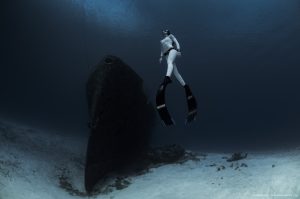 Freediving Cozumel Mexico Shipwreck