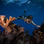 Freediving coral reef Mexico