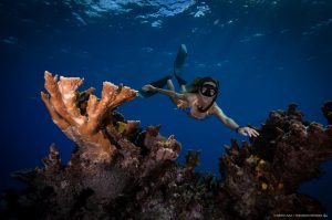 Freediving coral reef Mexico