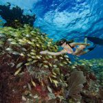 Freediving coral reef Mexico