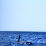 Duckdive