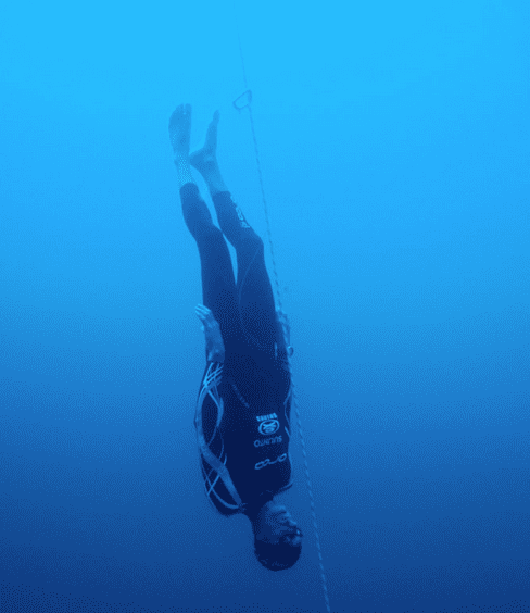 Freefall in Freediving (CNF) - William Trubridge