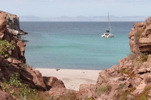 Adventure Sailing Charter in Sea of Cortez