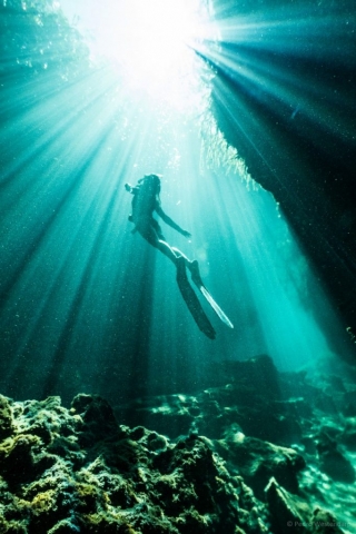 Cenote expedition freediving with Freefall Academy