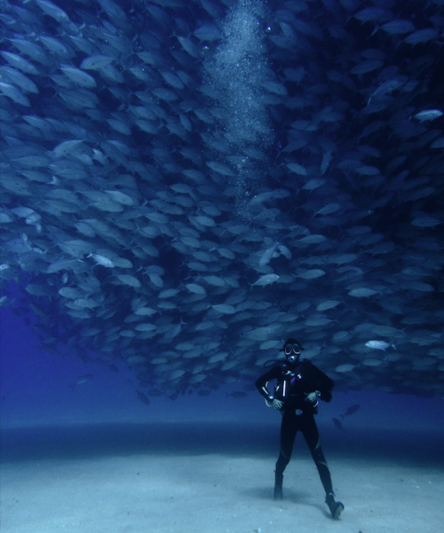 Diver Juanito at Cabo Pulmo. Scubadive and freedive at Cabo Pulmo with Freefall Academy