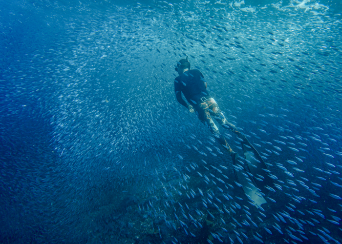 Freedive in Cabo Pulmo