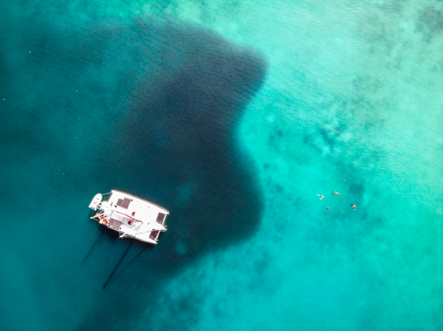 Sailing through a baitball