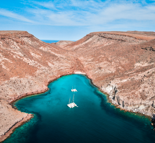 Ocean Leeague Sailing sea of cortez