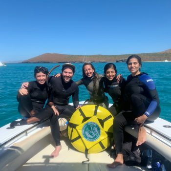 Freediving Course in La Paz Baja Mexico with Freefall Academy