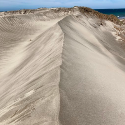 Sand dunes on expedition with freefall academy