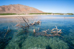 Baja California Sur