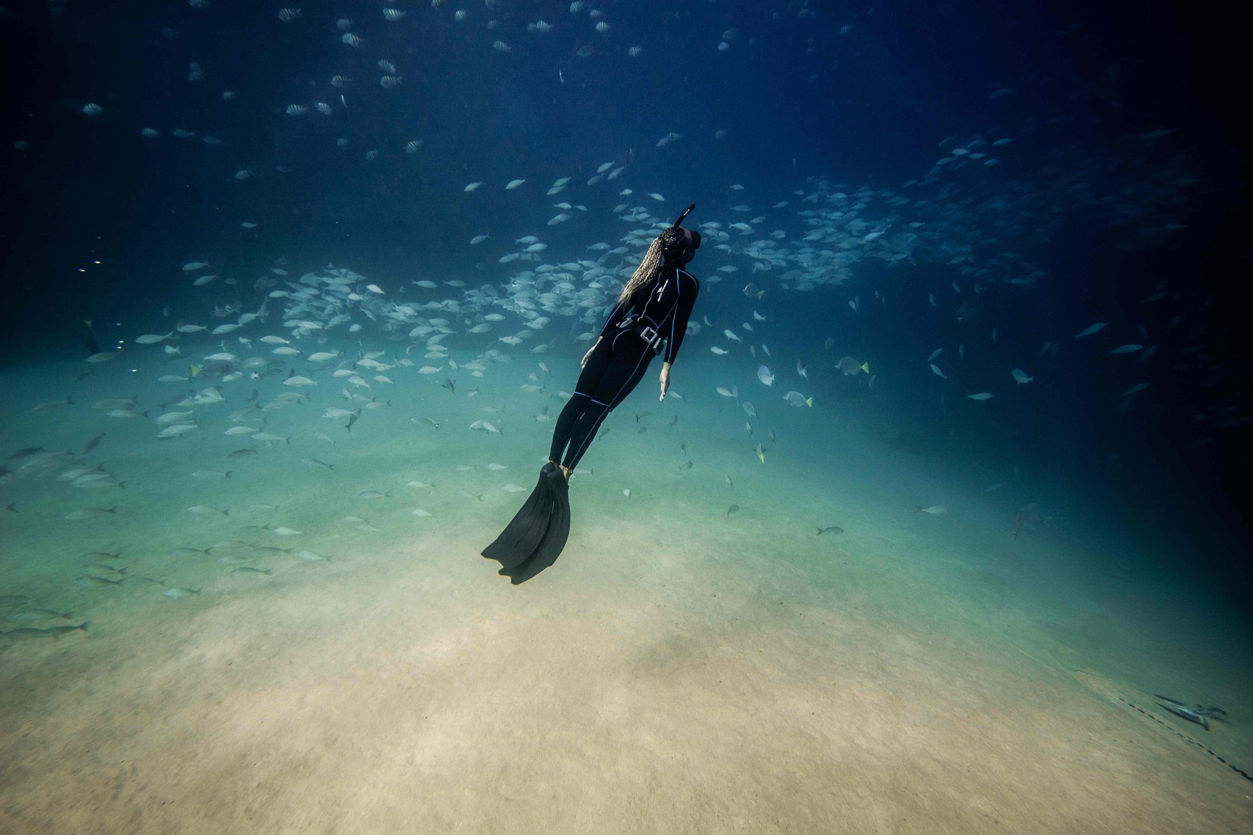 freediving course