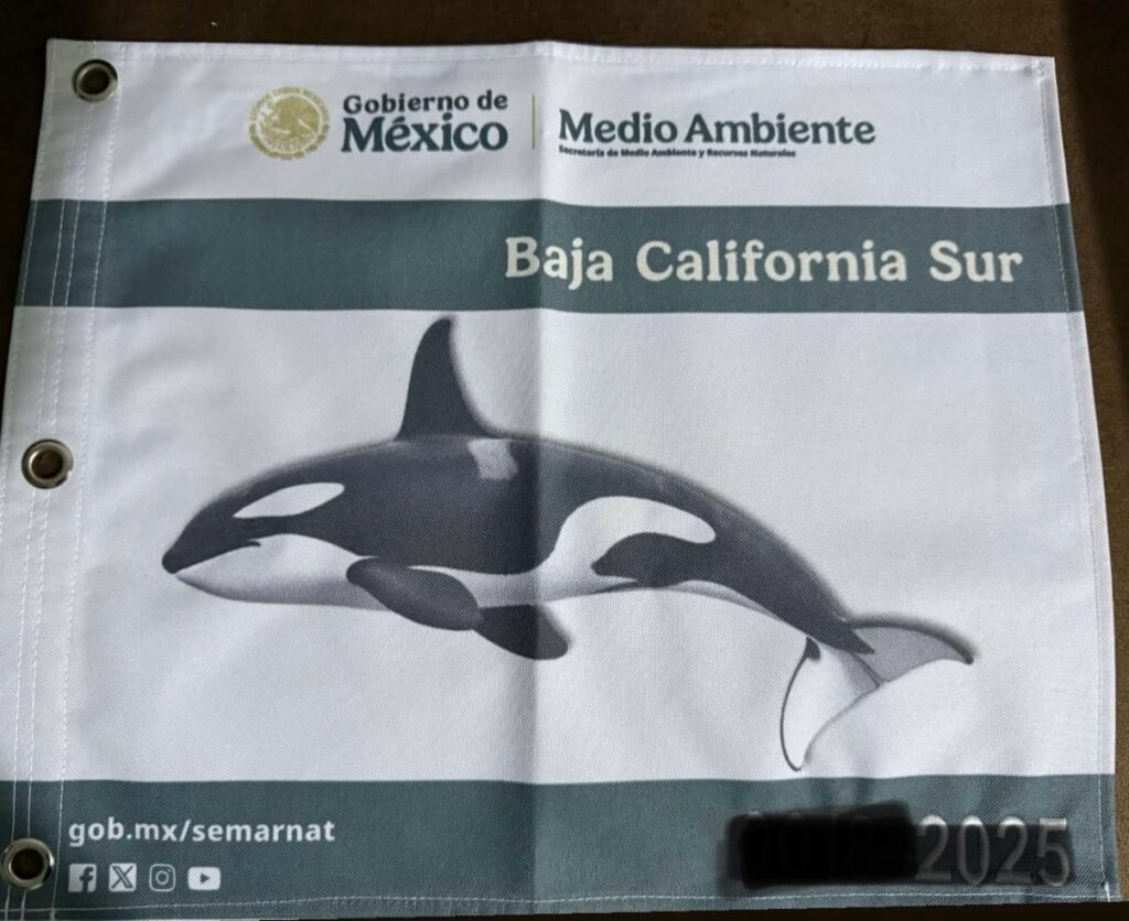 Permit to Swim with Orcas in La Ventana