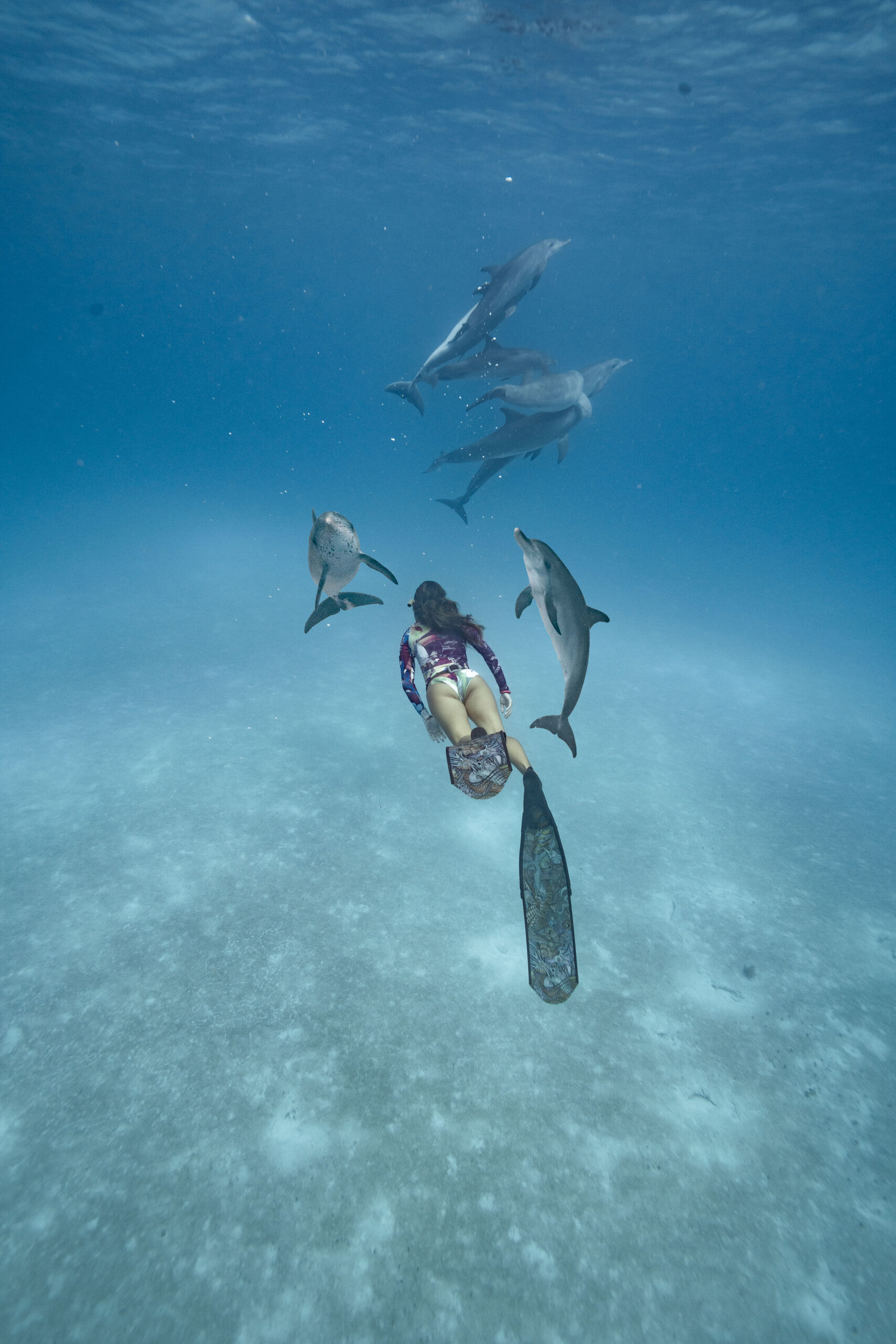 Magbay Marlin Expedition with Freefall Academy